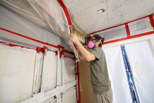 Best Emergency Mold Remediation  in Rheems, PA