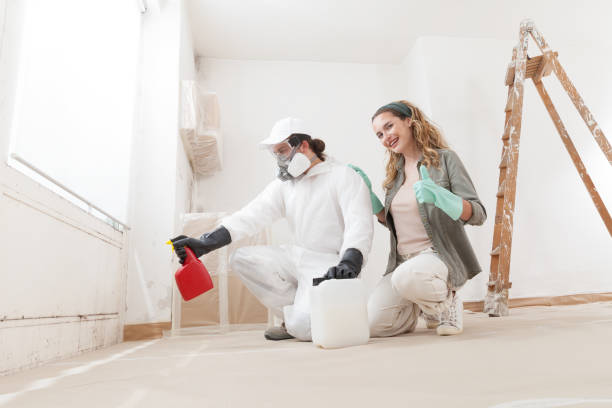 Best Real Estate Mold Inspection  in Rheems, PA